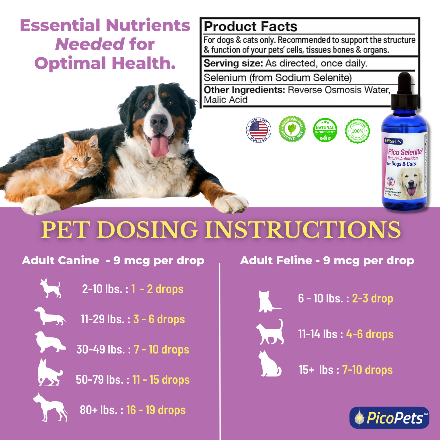 Pico Selenite® by PicoPets