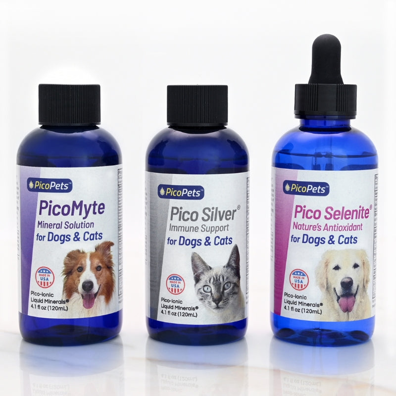 Total Wellness Trio