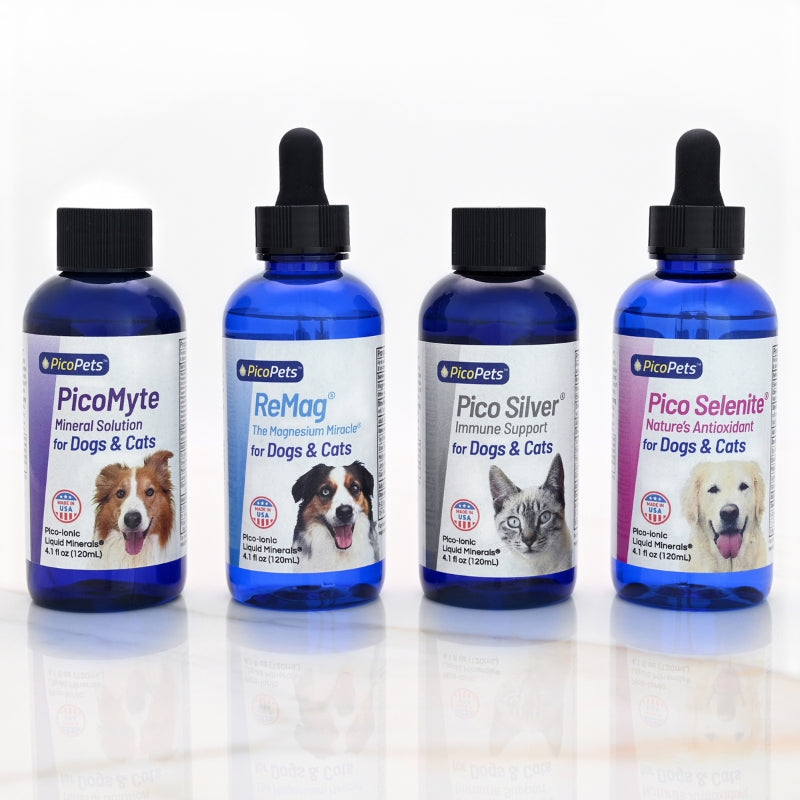 Ultimate Health Support Bundle