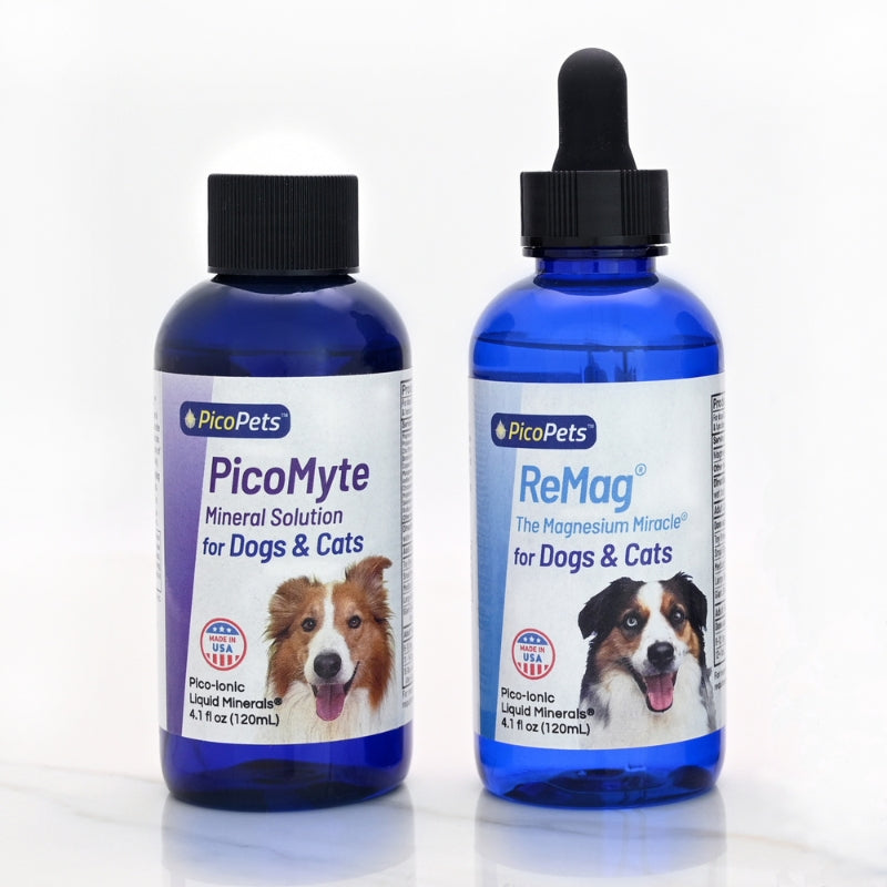 Hydration & Flexibility Bundle