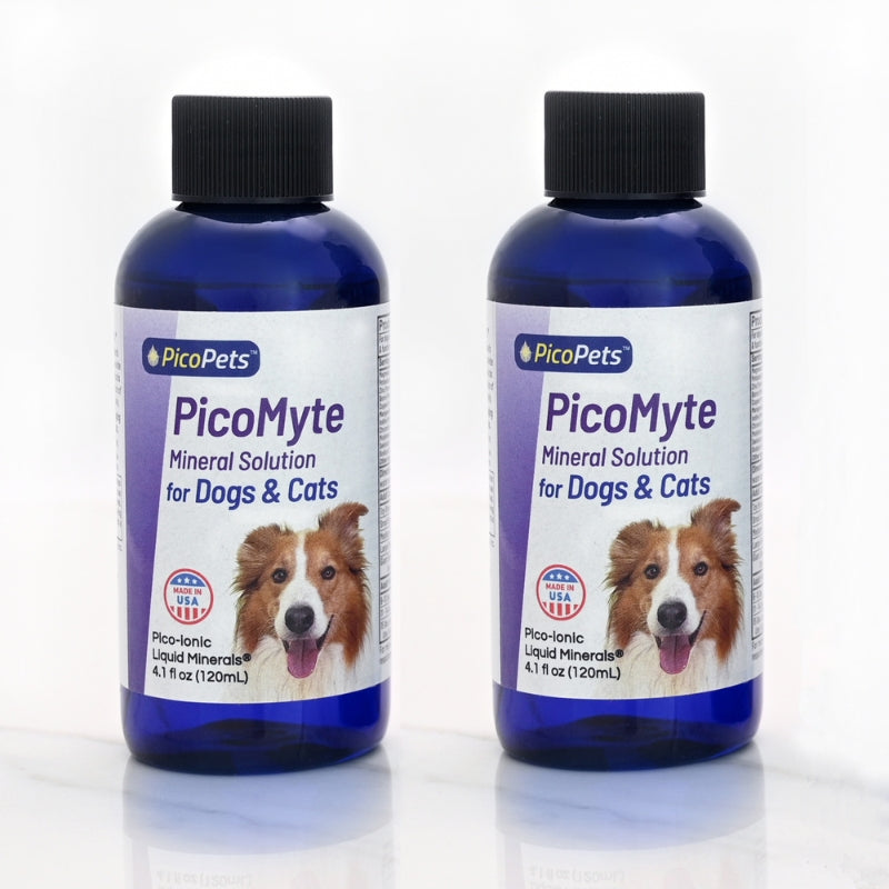 PicoMyte 2-Pack