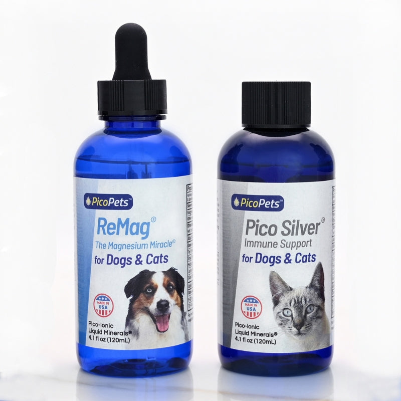 Energy & Immunity Support Bundle