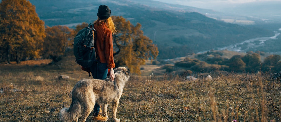 Fall Wellness Checklist for Pets