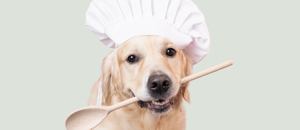 Easy & Fun Dog Recipes with a Health Boost