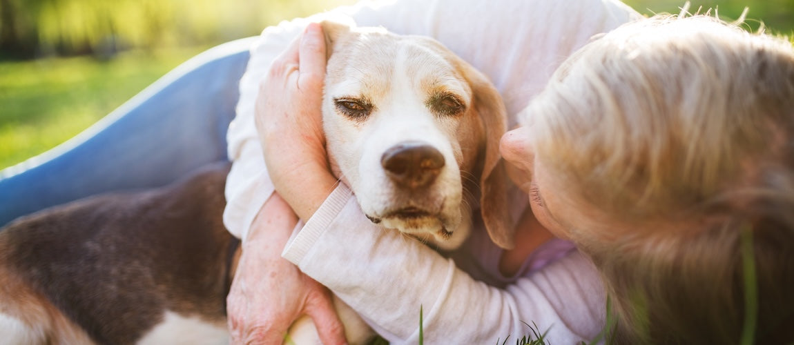 Pet Supplements for Longevity