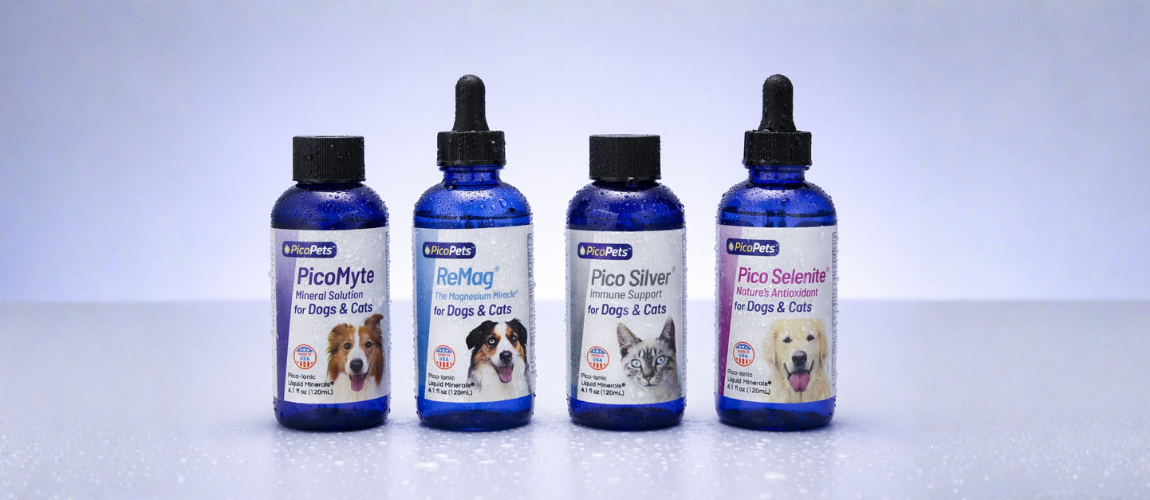 Real PicoPets Supplement Reviews