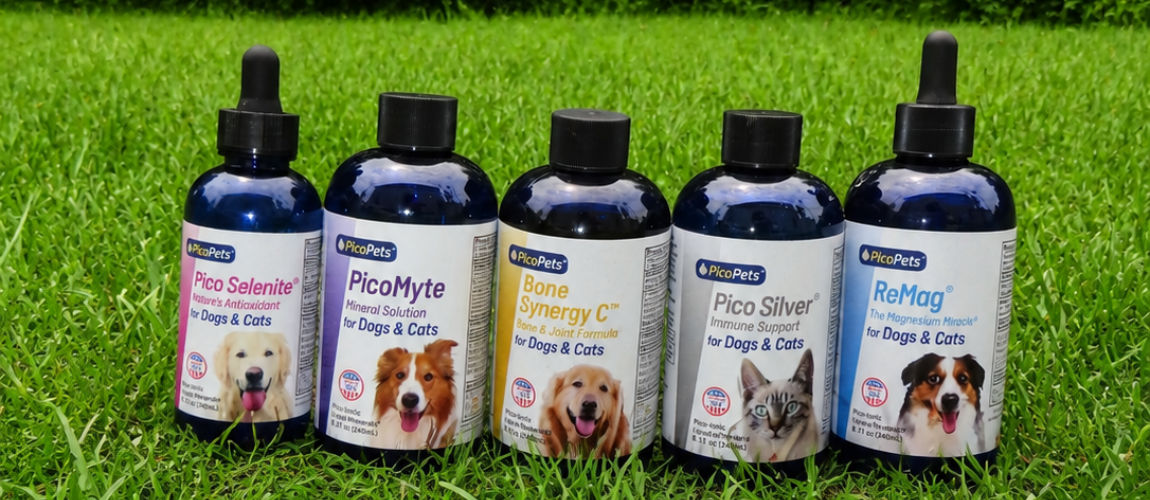 Why Less Is More: Choosing Clean Pet Supplements