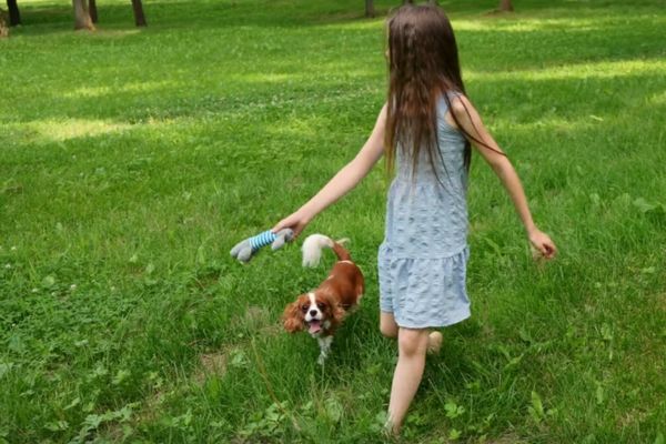 How One Pet Owner Became Their Dog’s Health Advocate