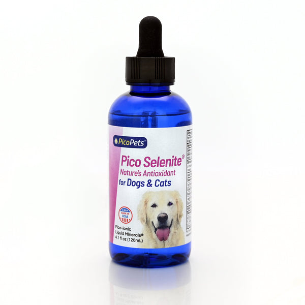Pico Selenite liquid selenium antioxidant supplement bottle for pets