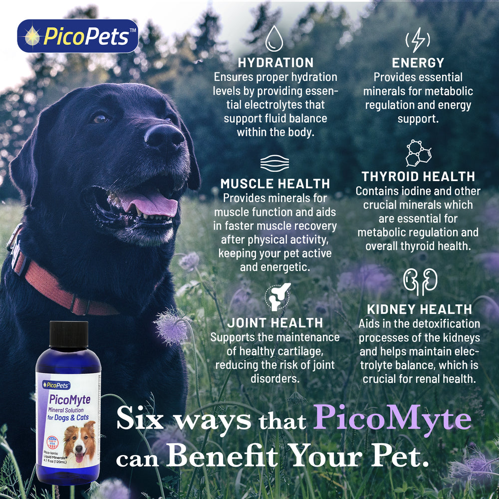 PicoMyte by PicoPets