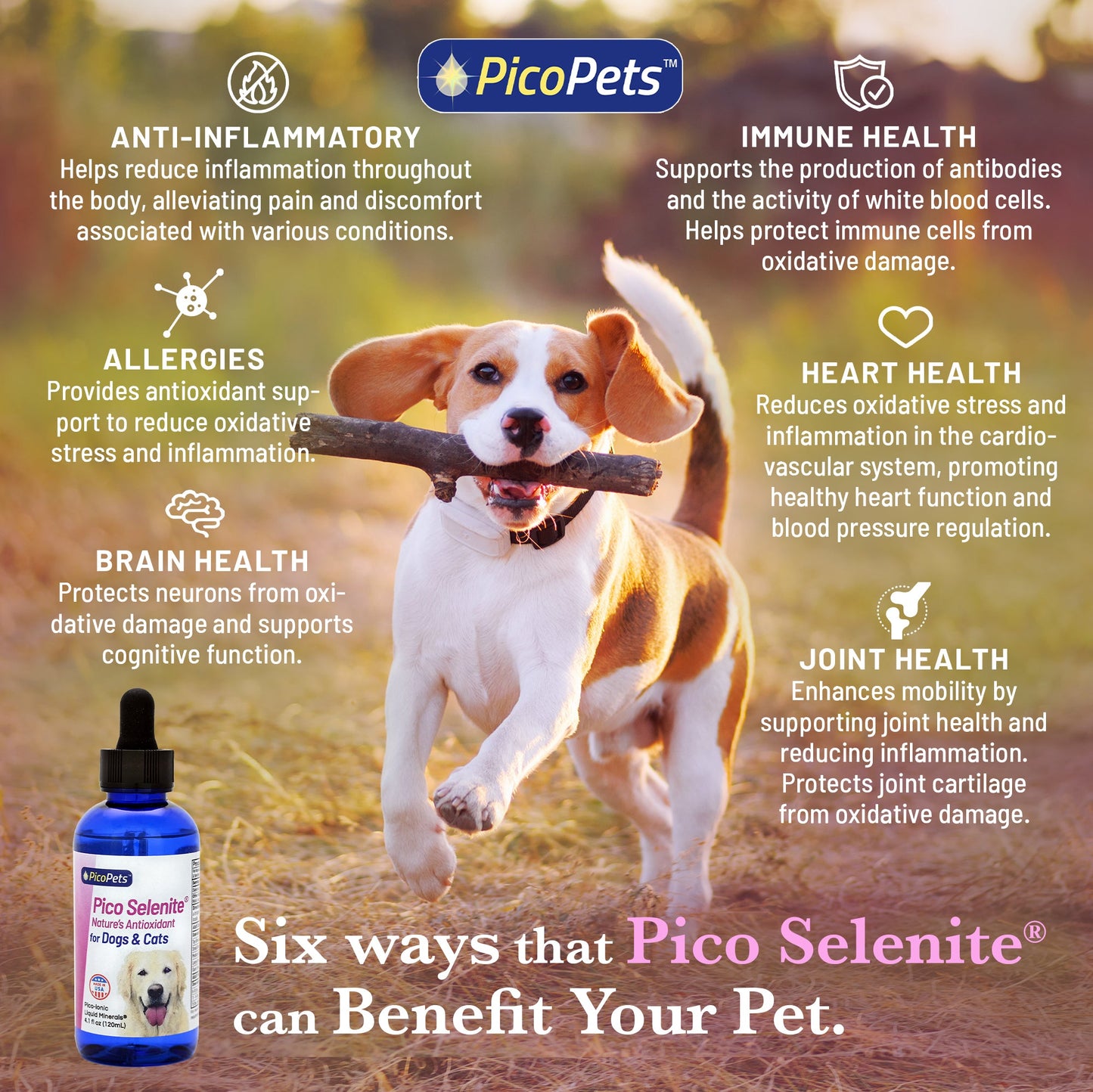 Pico Selenite® by PicoPets