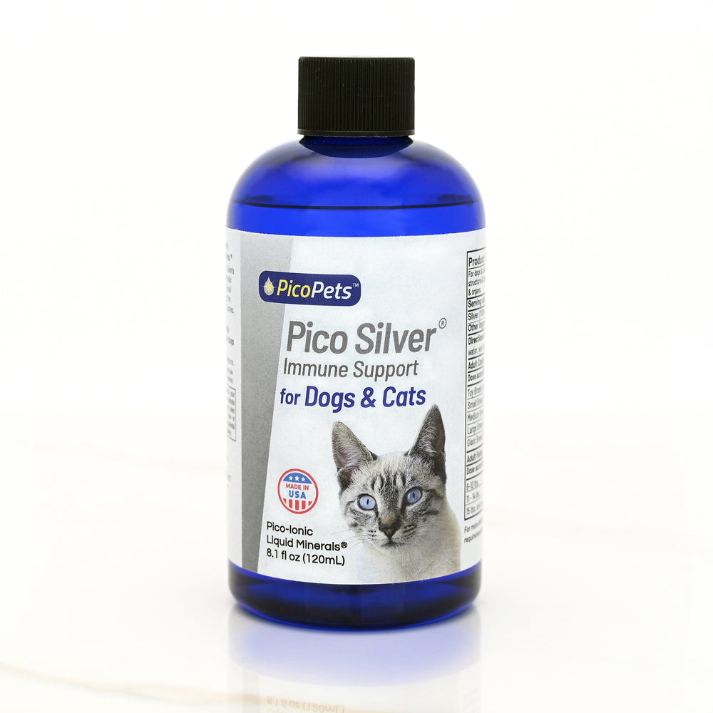 
                      
                        Pico Silver® by PicoPets
                      
                    