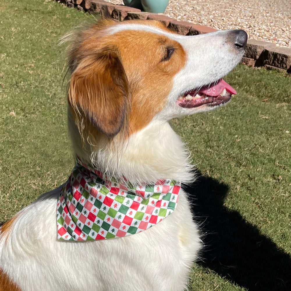 
                      
                        Double-Sided Dog + Cat Bandana (Christmas)
                      
                    