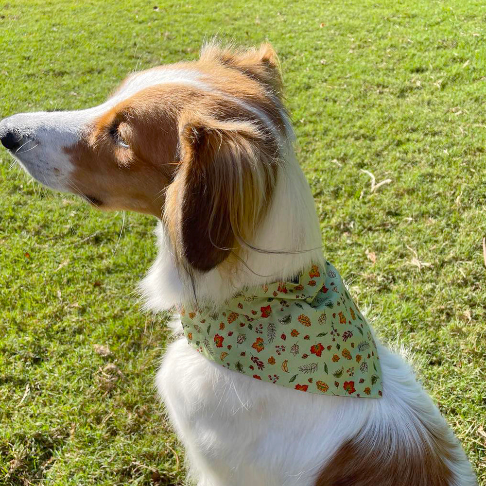 
                      
                        Double-Sided Dog + Cat Bandana
                      
                    