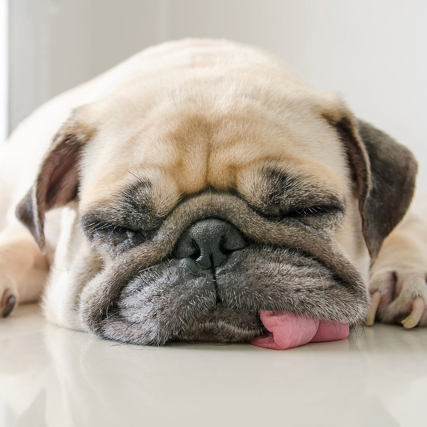 Fatigue + Lethargy During Activities